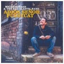 michael head