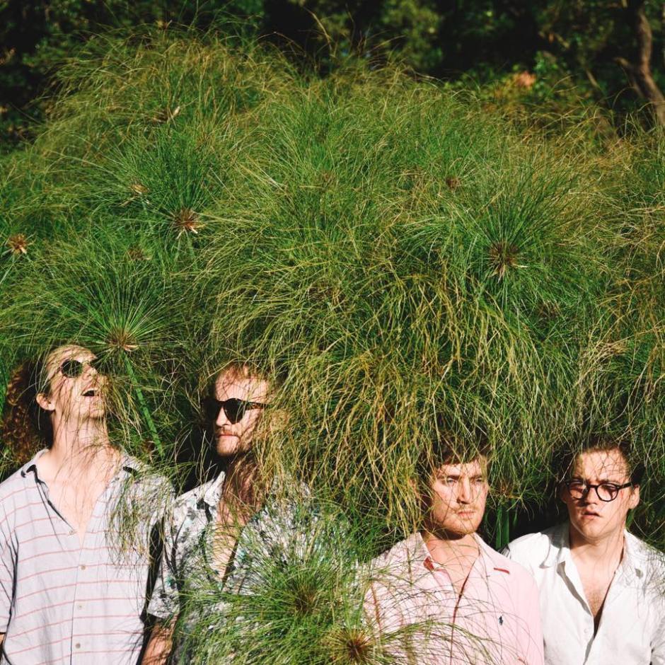 28276790_884569925037099_2942851379985875512_n